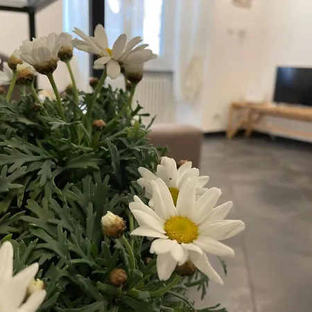 Apartment In Piazza Dell'agnello - Genovainrelax Genoa